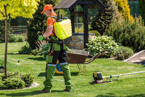 Best Lawn Pest Control  in Janesville, MN